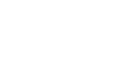 logo_bricomarche